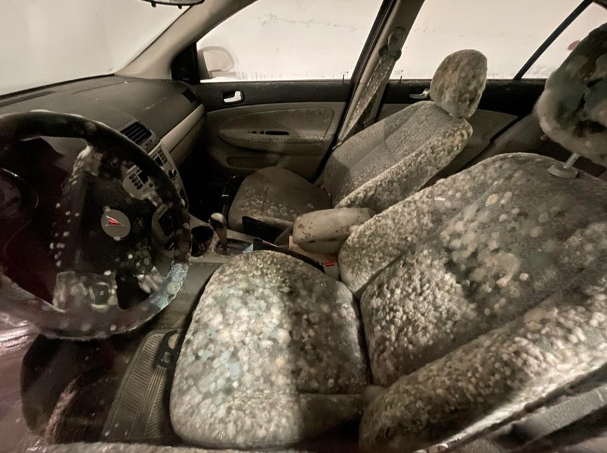 Mold in the car