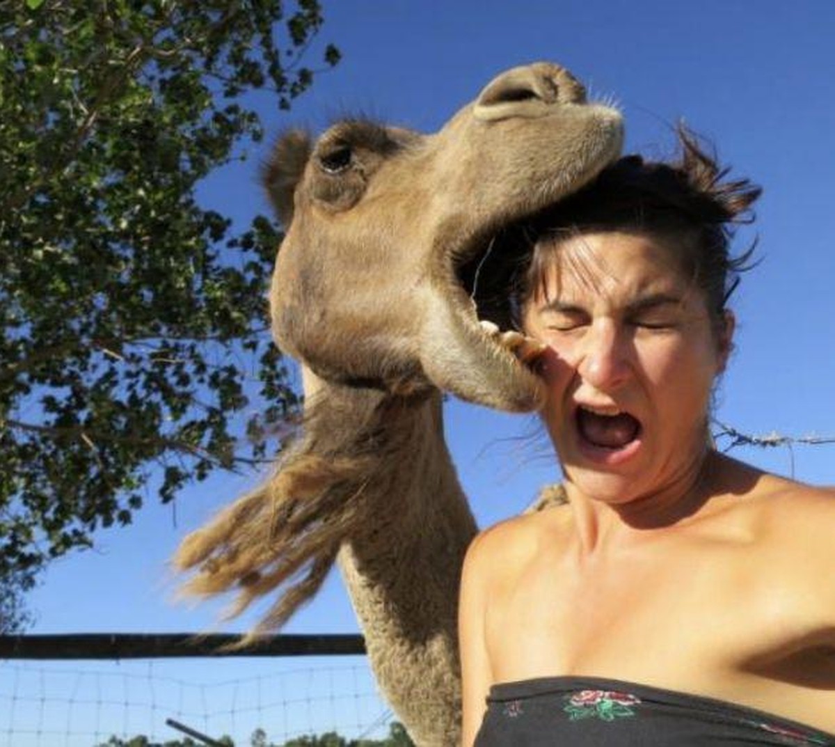 Selfie Fail
