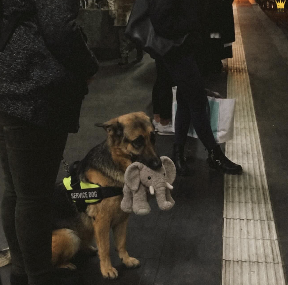 Service Hund / Stofftier
