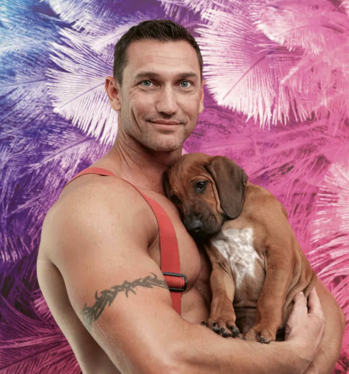 chien s'endormant dans les bras d'un pompier australien