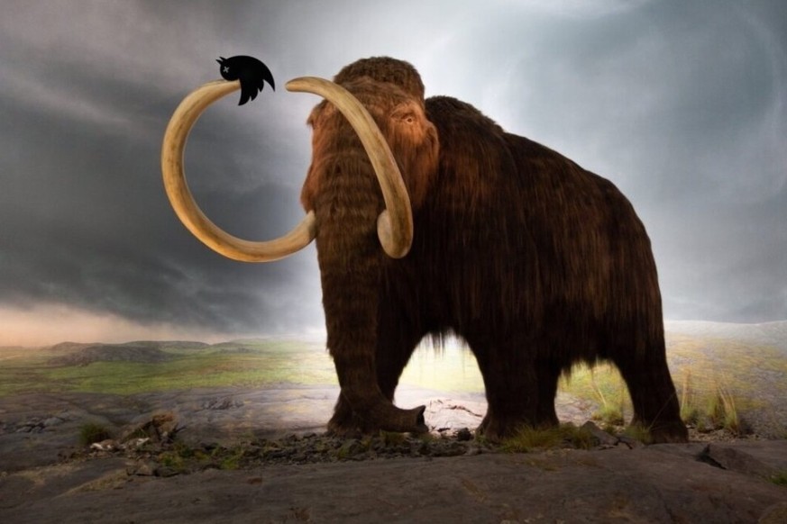 Witzig, aber leider falsch: Das ist kein Mastodon, sondern ein Mammut.