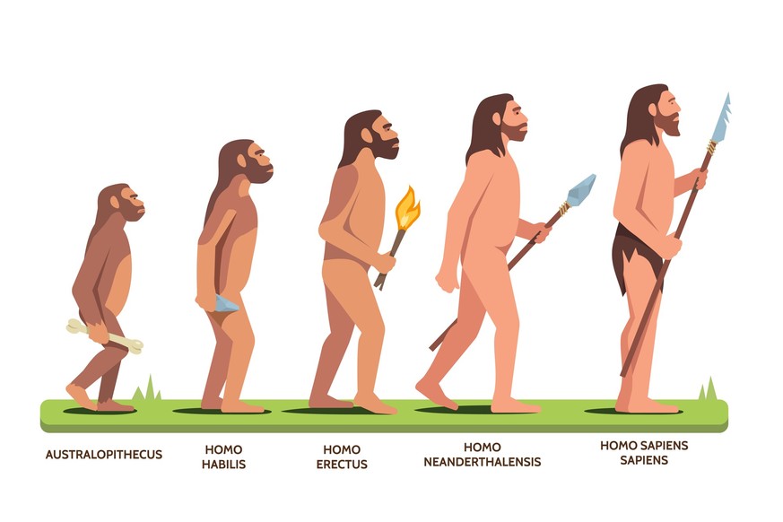 Aufrechter Gang Homo sapiens