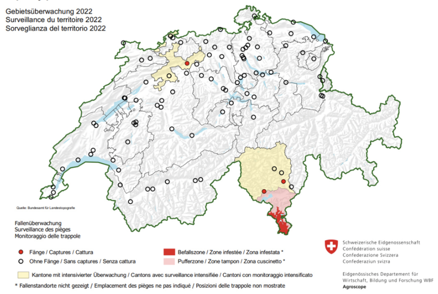 Die Verbreitung des Japankäfers in der Schweiz.