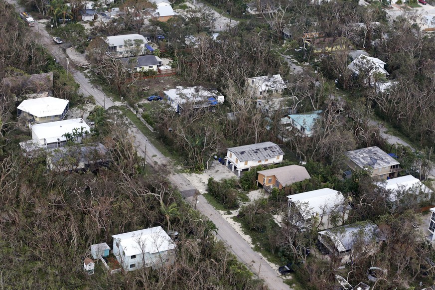 Barren trees line a residential neighborhood in the aftermath of Hurricane Irma, Monday, Sept. 11, 2017, in Key Largo, Fla. (AP Photo/Wilfredo Lee)