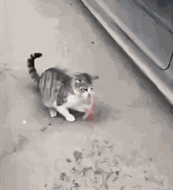 Animiertes GIF