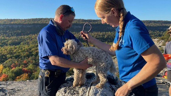 Der Hund konnte nach 5 Tagen unverletzt gerettet werden.