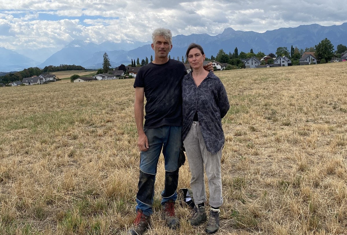 Wo vor ein paar Wochen noch Wiese war, ist jetzt alles verdorrt: Anna-Maria und ihr Partner Daniel Glauser haben kaum noch Futter, um ihre Kühe zu füttern.