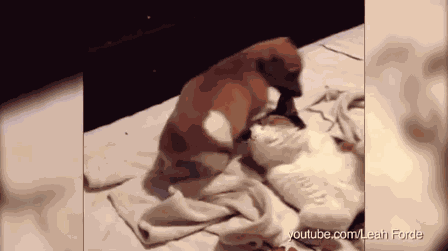 Animiertes GIF