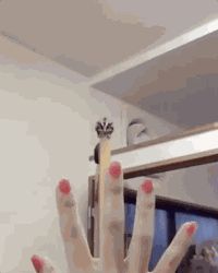 Fertig schlechte Laune. Hier sind die besten Tierbilder der Woche
Auja...Äffchen gab&#039;s schon lang nich mehr.

So Totenkopfaffen sind auch cool, pascal. 
Du hast ne aufgabe für nächsten freitag ...
