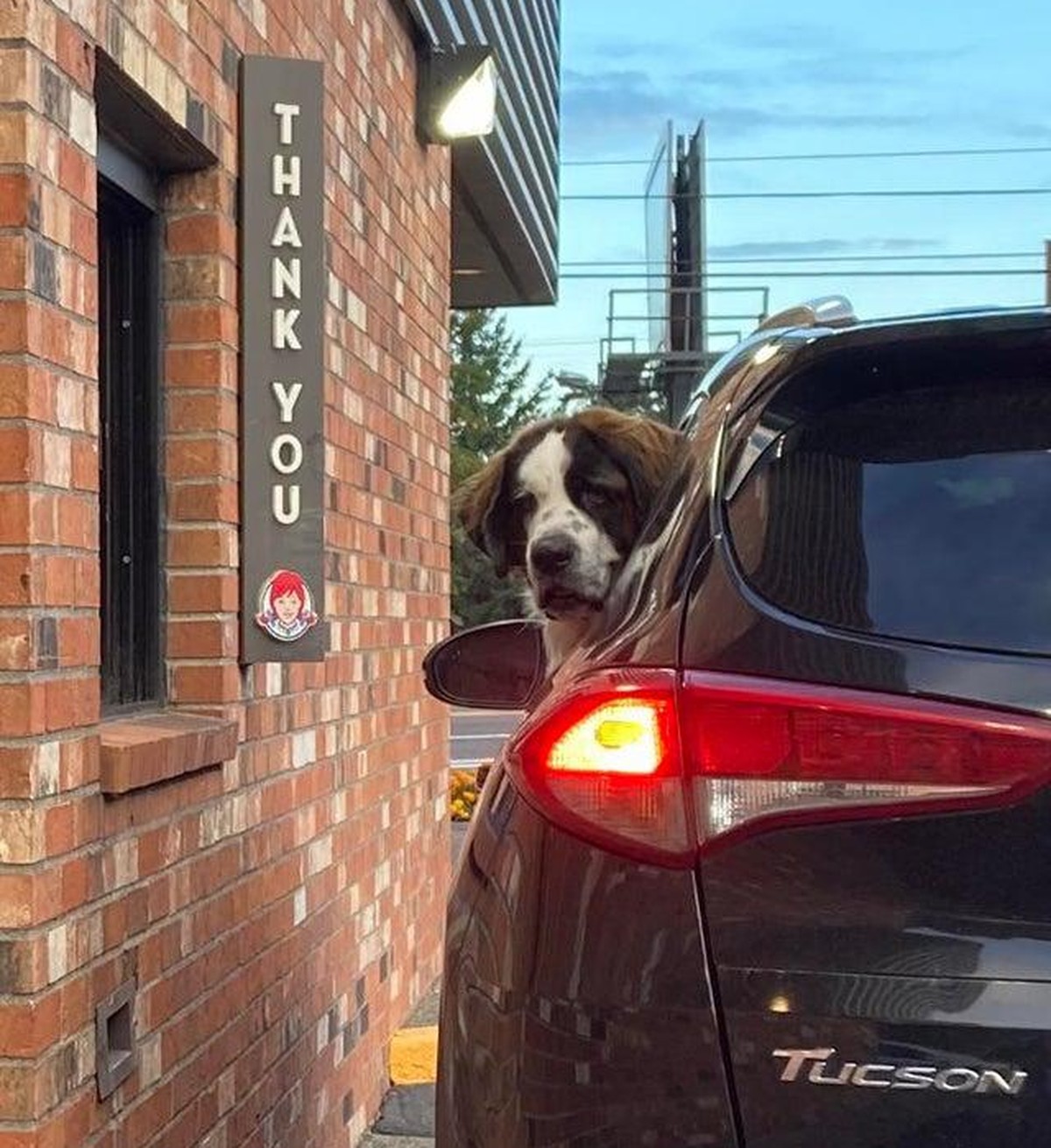 cute news doggo hund tier animal

https://www.reddit.com/r/aww/comments/pyd27g/met_a_cute_guy_today/