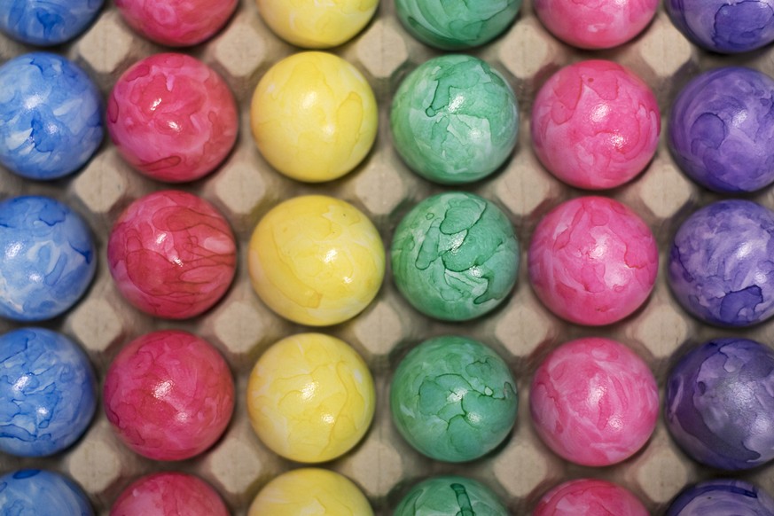 ZUR OSTEREIERVERARBEITUNG DES GEFLUEGELHOFS DAETWYLER STELLEN WIR IHNEN HEUTE FOLGENDES BILDMATERIAL ZUR VERFUEGUNG --- Colored Easter eggs in an egg carton on the poultry farm Daetwyler in Oberwangen ...