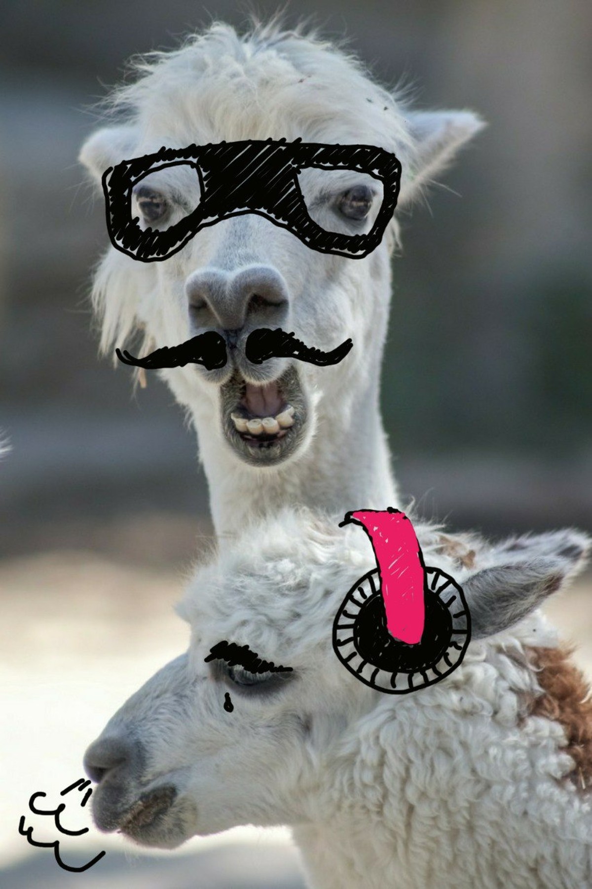 Lama Samsung Note 10