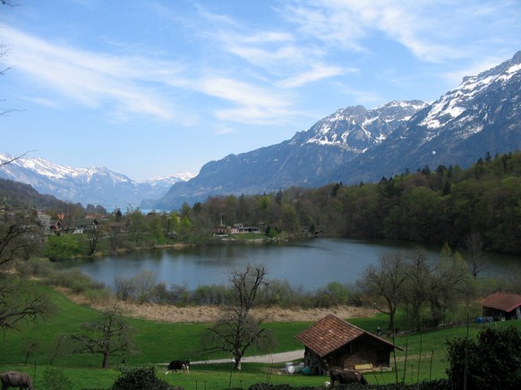 Burgseeli Interlaken