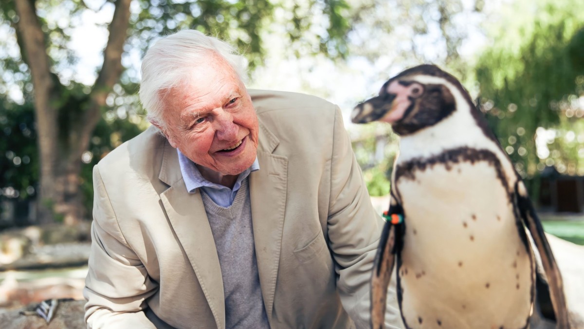 Zu seinem 100. Geburi: 20 David-Attenborough-Zitate für die Ewigkeit