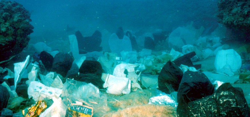 Forscher schlagen wegen der Meer-Vermüllung Alarm.