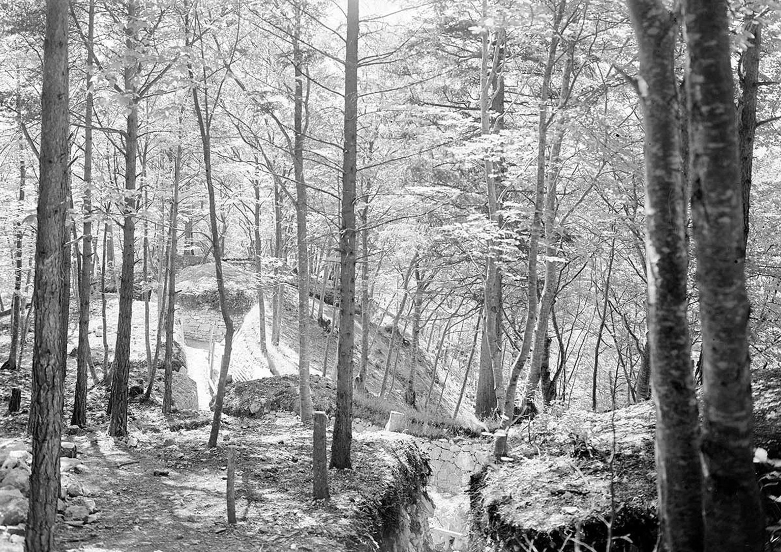 Befestigungsanlage in der Region Hauenstein.
https://commons.wikimedia.org/wiki/File:Befestigungsanlagen_im_Wald_-_CH-BAR_-_3238682.tif
