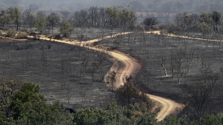 epa10077469 A view of the burned area by a fire started in the village San Martin de Tabara (Zamora), Spain, 18 July 2022. The heat wave sweeping across Spain is fueling forest fires in five Spanish r ...