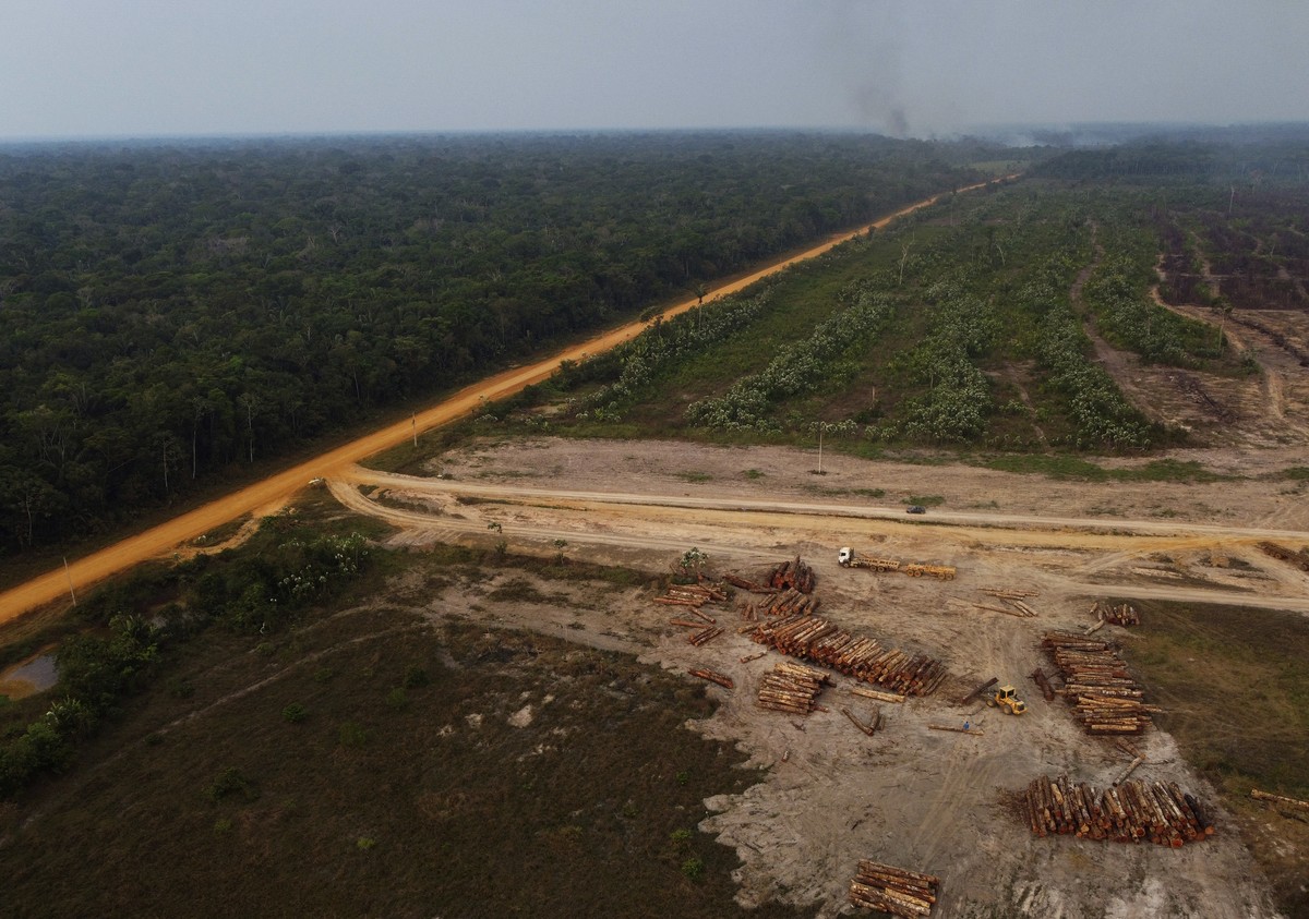 FILE - An area of forest on fire near a logging area in the Transamazonica highway region, in the municipality of Humaita, Amazonas state, Brazil, Sept. 17, 2022. In a victory speech Sunday, Oct. 30,  ...