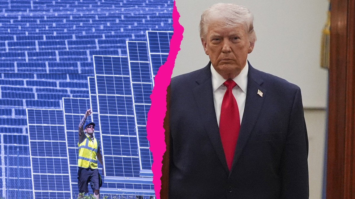 Trump pourrait donner un coup d'élan à l'énergie solaire