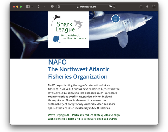 Screenshot: sharkleague.org, das Internet-Kollektiv NAFO hat nichts mit The Northwest Atlantic Fisheries Organization (NAFO) zu tun.