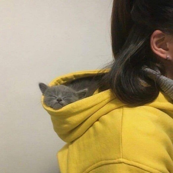 Cute News: Kleine Tiere