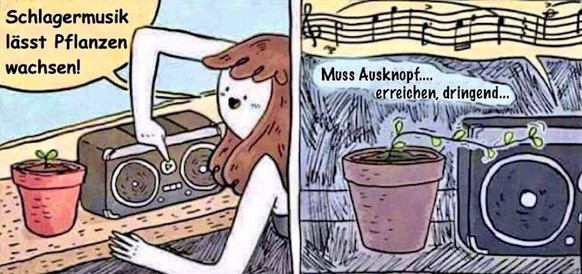 PICDUMP 418 – seid gegrüsst! Es geht los! 👋\nGlaube Helene Fischer ist besonders schlimm.