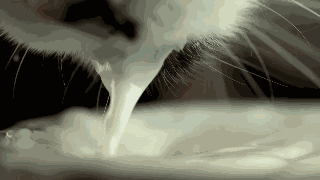 Animiertes GIF