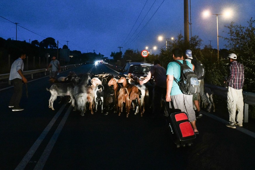 Griechenland - Athen, Feuer, die am vergangenen Dienstag bei Varibobi in der Gemeinde Acharnes, einem nördlichen Vorort von Athen, wüteten und zwischenzeitlich unter Kontrolle waren, haben sich am Don ...