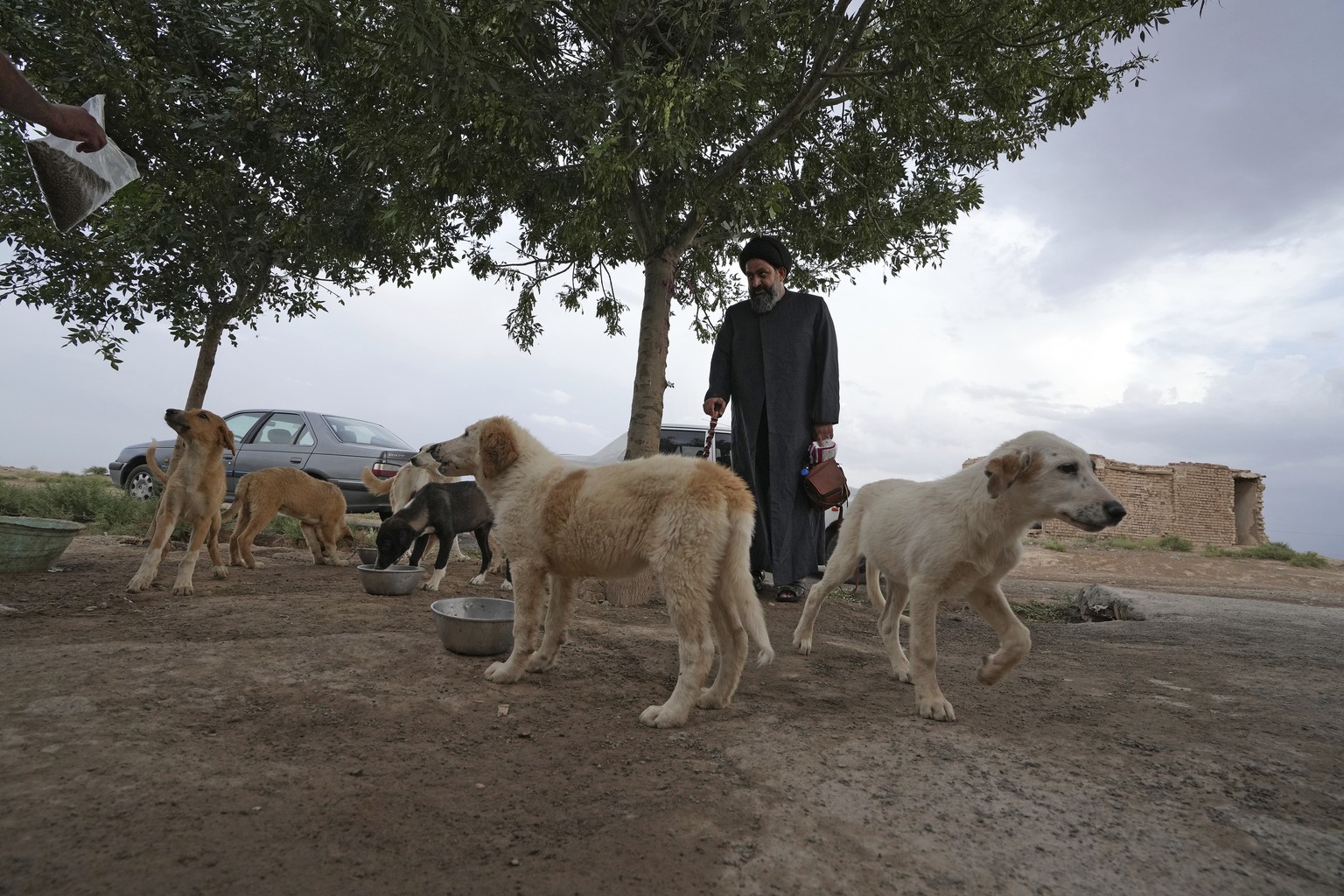 Iranian cleric Sayed Mahdi Tabatabaei watches stray dogs outside his shelter as they are fed, outside the city of Qom, 125 kilometers south of Iran's capital Tehran, Sunday May 2…