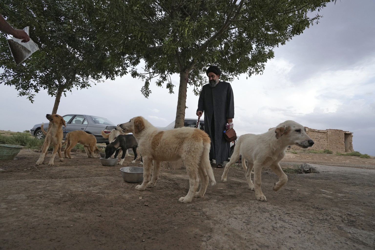 Iranian cleric Sayed Mahdi Tabatabaei looks at stray dogs outside his shelter as they are being fed, outside the city of Qom, 80 miles (125 kilometers) south of the capital Tehran, Iran, Sunday, May 2 ...