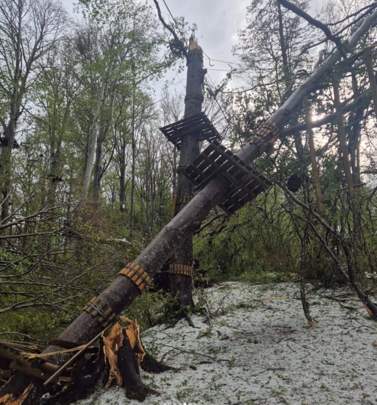 Seilpark Balmberg Unwetter