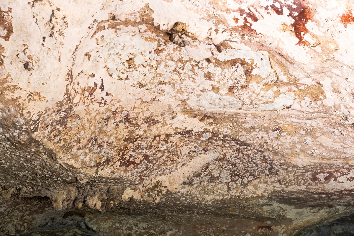 epa11456227 A handout photo made available by the National Research and Innovation Agency (BRIN) shows a cave painting inside a cave at Karampuang Hill in Maros, South Sulawesi, Indonesia, 04 July 202 ...