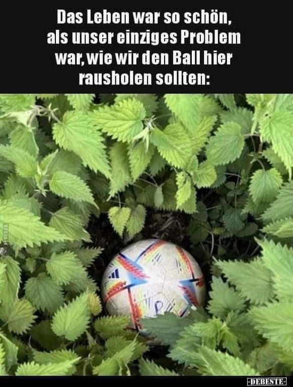 Picdump 95 – weil es neben der EM auch noch Memes gibt\nGood morning everybody,

Sergio, auch heute tolle PiDi, danke vielmals.