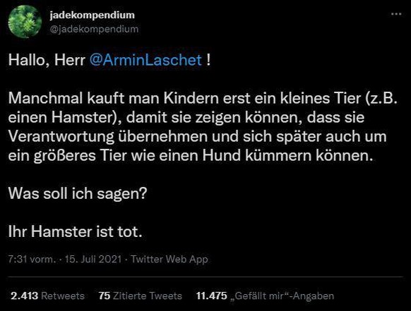 Armin Laschet legt Amt als Ministerpräsident nieder\n