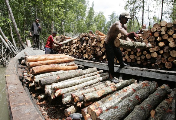 Workers load mangrove wood onto a boat at Kuala Sepetang, in Malaysia&#039;s northwestern state of Perak, 300 km (186 miles) north of Kuala Lumpur March 2, 2009. A world away from Tokyo, Malaysians ar ...