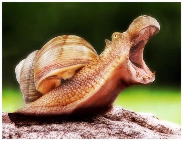cute news photoshop

https://ch.pinterest.com/pin/1121888957171362052/