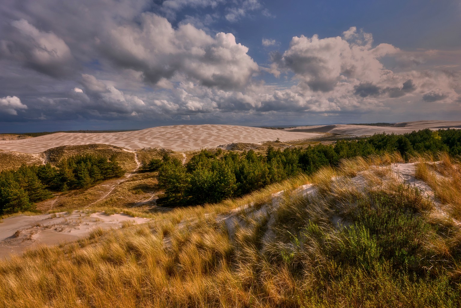 Am Rande des Slowinski-Nationalparks: Wanderdünen nahe Leba.