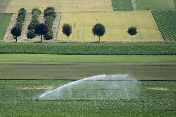 Ein Feld wird bewaessert, am Dienstag, 24. Juni 2025, in Grandcour. (KEYSTONE/Til Buergy)