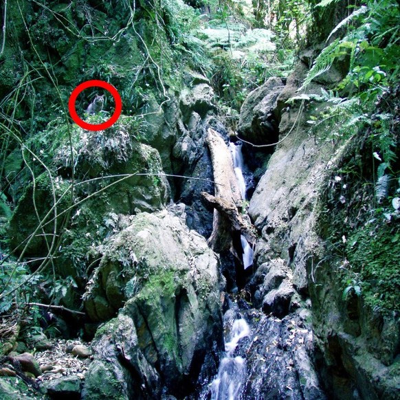 second image