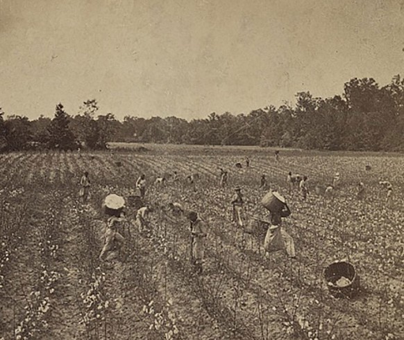 Baumwollernte in der Nähe von Montgomery, Alabama, um 1860.
https://www.loc.gov/item/2012648057/