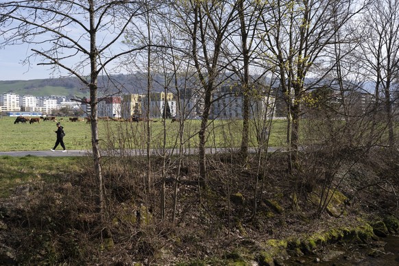 Menschen spazieren entlang der Lorze auf der Lorzenebene, zwischen Cham und der Stadt Zug, fotografiert am Dienstag, 24. Maerz 2026 in Cham. Die Stiftung Landschaftsschutz Schweiz SL zeichnet die Lorz ...