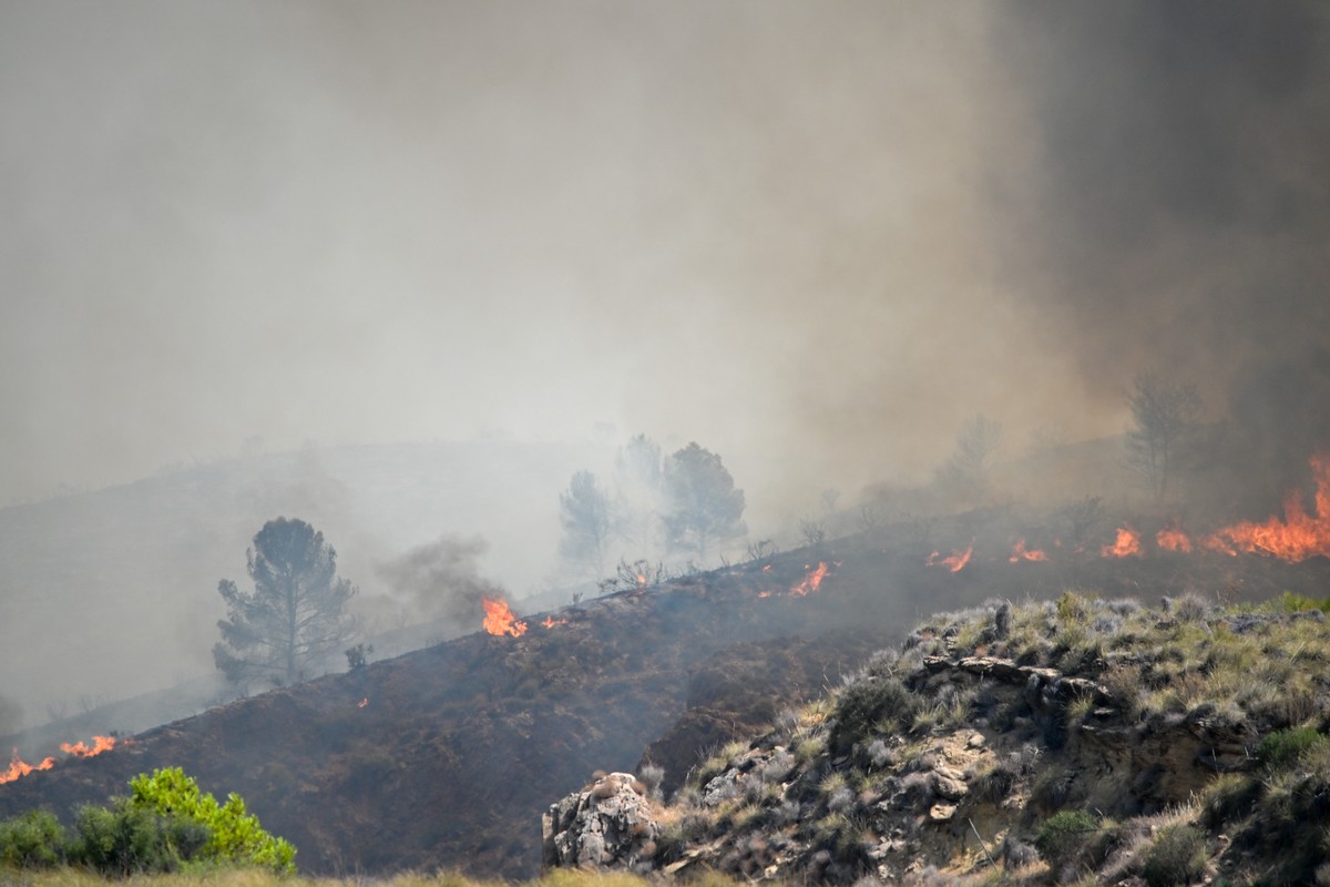 epa13102249 Flames from a wildfire burn through the vegetation in Los Gallardos, province of Almeria, southwestern Spain, 10 July 2026. At least 12 people have died and 19 others are missing in a fore ...