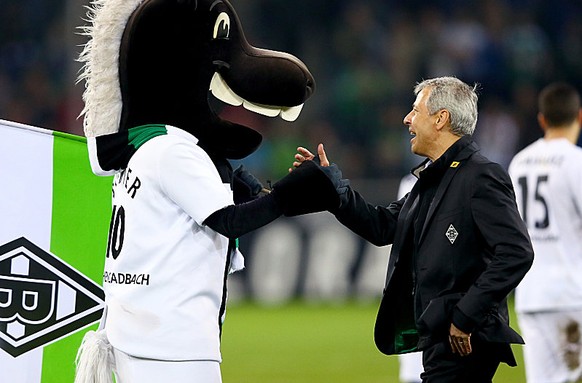 MOENCHENGLADBACH, GERMANY - NOVEMBER 02: Head coach Lucien Favre of Moenchengladbach celebrates with mascot Juenter (L) his birthday after the Bundesliga match between Borussia Moenchengladbach and 18 ...