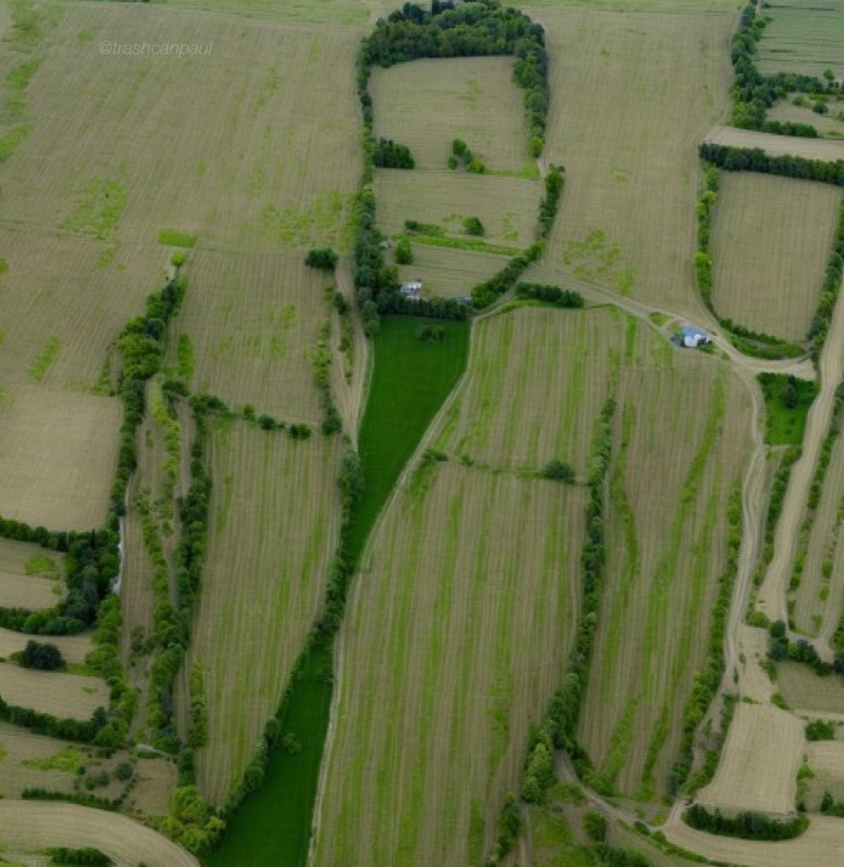 Kevin James King of Queens Meme