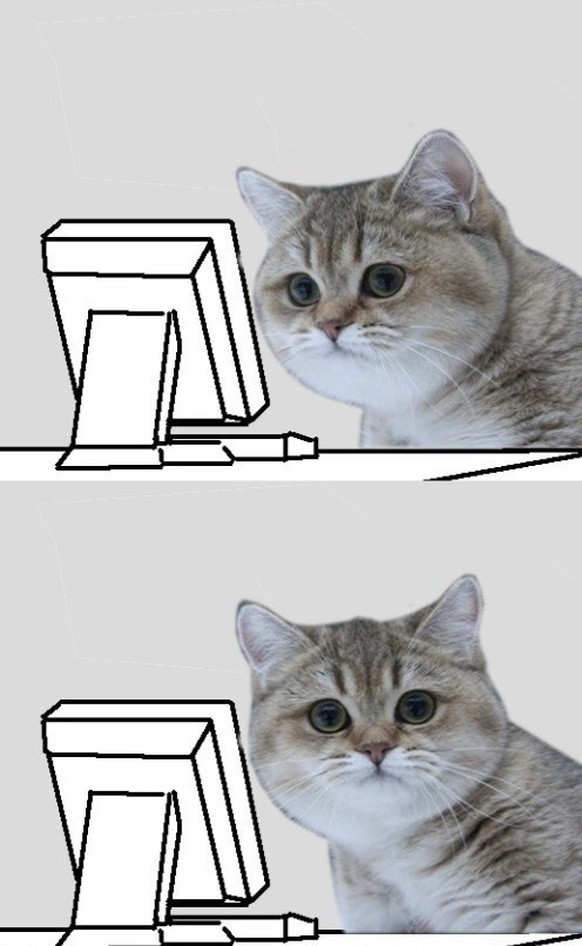 «Virtuelle Vergewaltigung»: Schauspielerin Collien Fernandes zeigt Ex Christian Ulmen an\nWTF