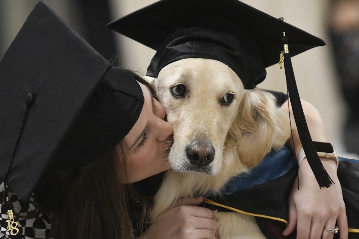 "Griffin" Hawley, the Golden Retriever service dog, is given a congratulations hug by his owner Brittany Hawley after being presented an honorary diploma by Clarkson, during the Clarkson Uni ...