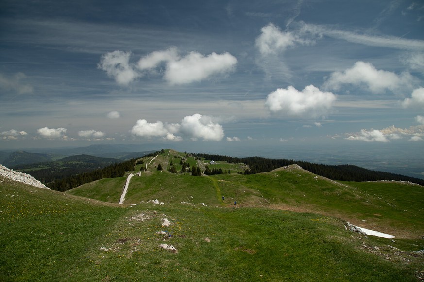 Mont Tendre