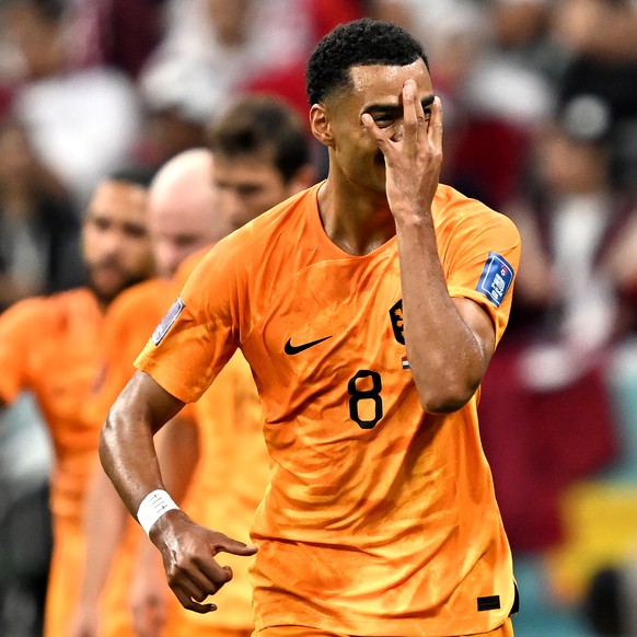 epa10336547 Cody Gakpo of the Netherlands gestures in celebration after scoring the 1-0 goal during the FIFA World Cup 2022 group A soccer match between the Netherlands and Qatar at Al Bayt Stadium in ...