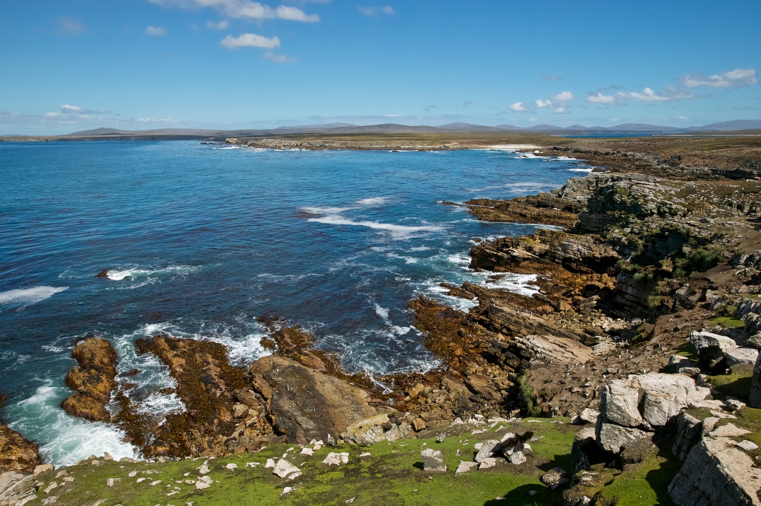 pebble island falkland inseln pinguine falklandkrieg flugzeugwrack küste insel strand