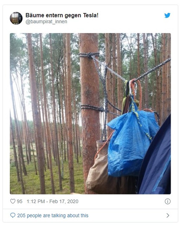 Die Antwort kam postwendend: Zwei Aktivistinnen besetzten den Wald. Ihr Camp wurde von der Polizei umgehend geräumt.